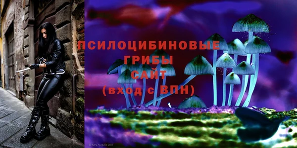 PSILOCYBIN Абинск